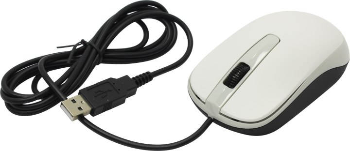 Genius Optical Mouse DX-120 <White>  (RTL) USB  3btn+Roll  (31010105102)
