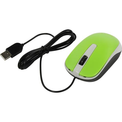 Genius Optical Mouse DX-120 <Green>  (RTL)  USB 3btn+Roll (31010010404)