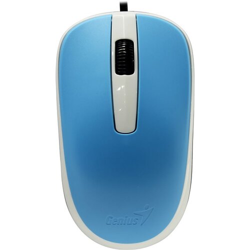 Genius Optical Mouse DX-120 <Blue>  (RTL)  USB 3btn+Roll (31010105103)