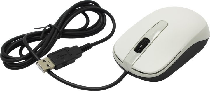 Genius Optical Mouse DX-120 <White>  (RTL) USB  3btn+Roll  (31010105102/31010010401)