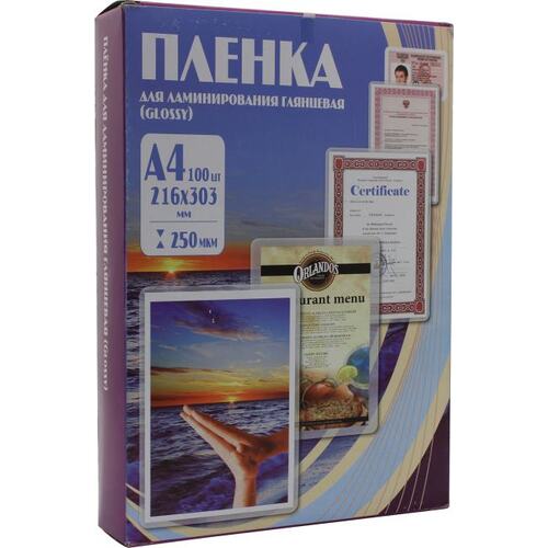 <PLP12123-1> Пакеты для ламинирования (A4, 250мкм, Gloss,  уп.  100  шт)